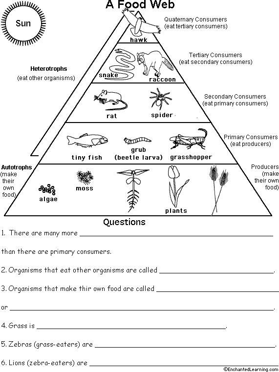 Food Web Worksheet Answers Biology Isacork
