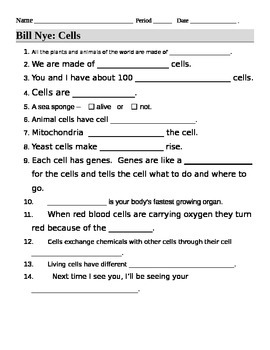 4th Grade Bill Nye Food Web Worksheet