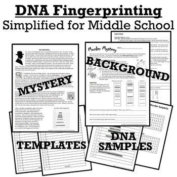 Crime Scene Dna Fingerprinting Worksheet
