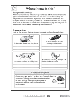 4th Grade Animal Adaptations Worksheets