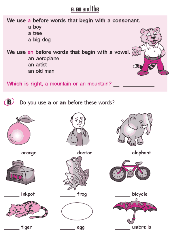 Use Of A And An Worksheet For Grade 2