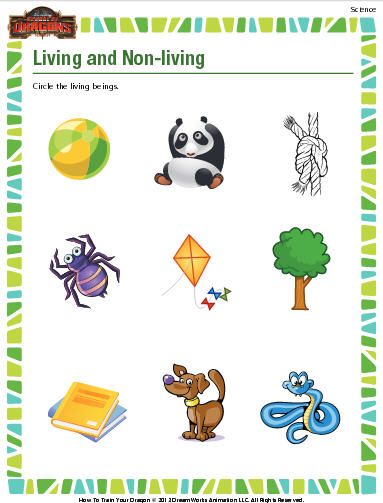 Living Things And Non Living Things Worksheet