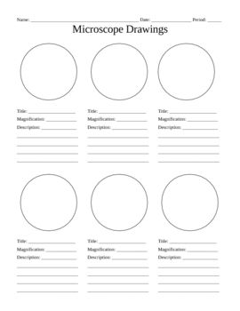 Microscope Worksheets For 5th Grade