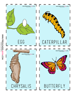 Life Cycle Of A Butterfly Printables Free