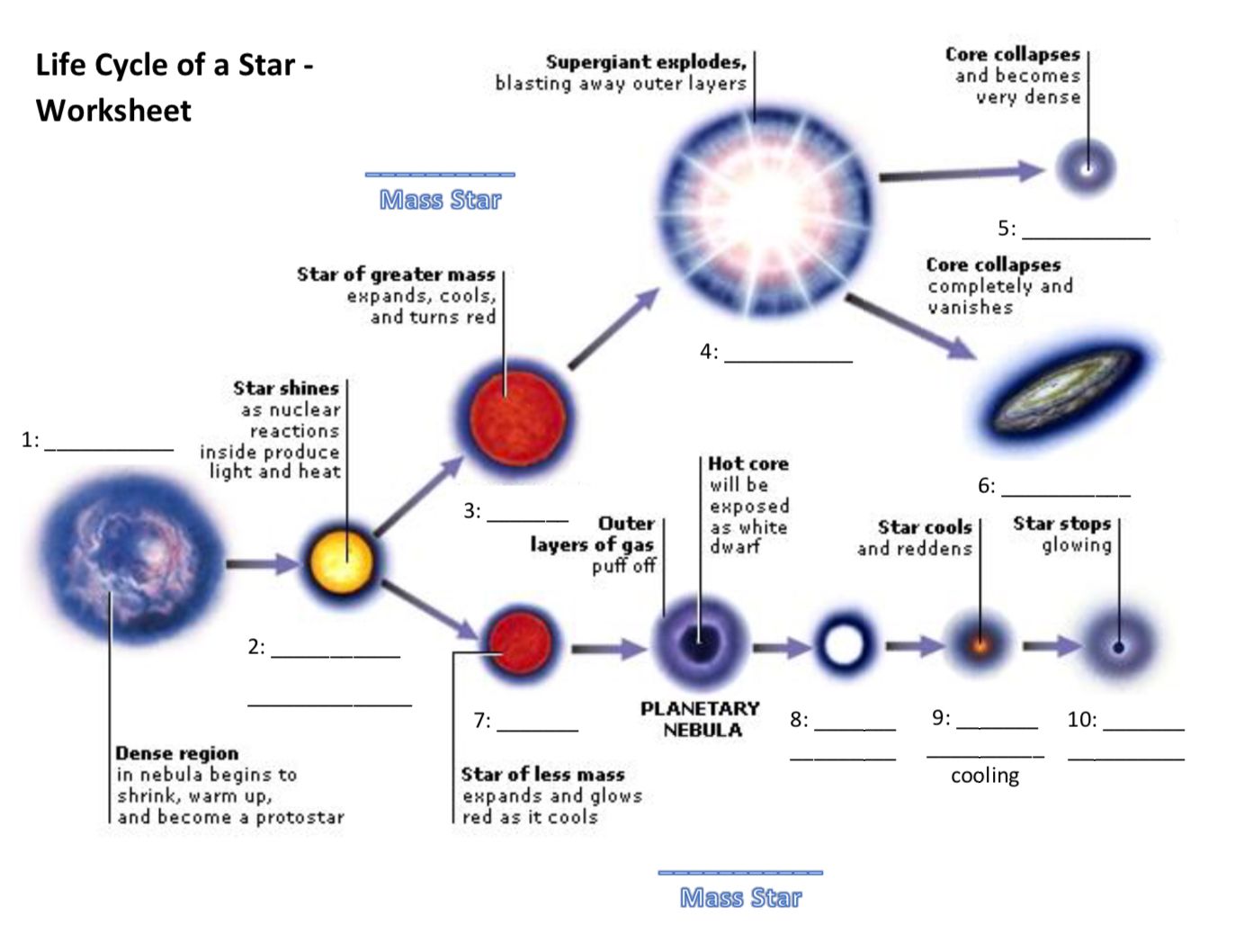 Life Cycle Of A Star Worksheet