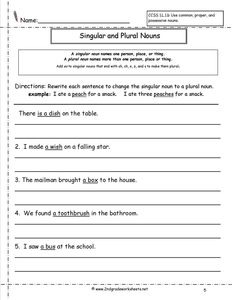 Grade 4 Singular And Plural Nouns Sentences Worksheets