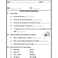 3rd Grade Science Worksheets For Grade 3 Animals
