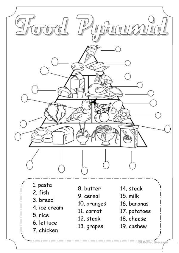Food Pyramid Worksheet Pdf