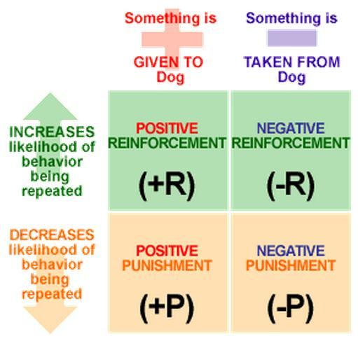 Psychology Classical Conditioning Worksheet