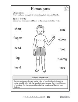 2nd Grade Science Worksheets For Grade 2 Human Body
