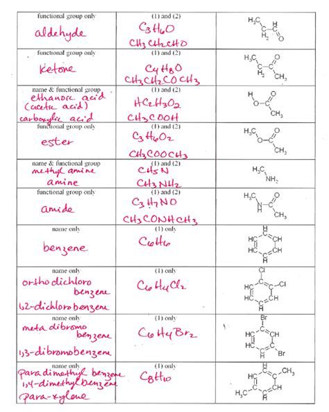 Naming Hydrocarbons Worksheet With Answers