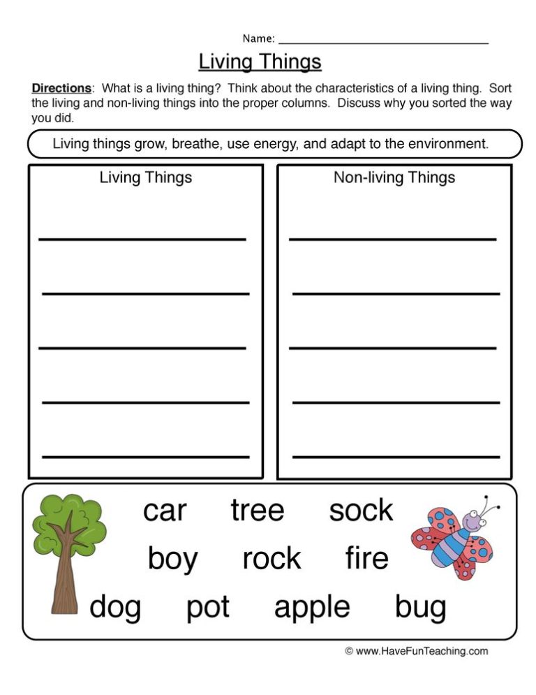 Living Things And Non Living Things Worksheet For Grade 3