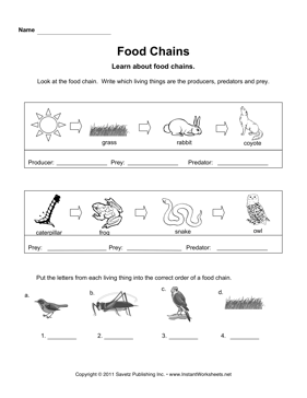 2nd Grade Food Chain Worksheet Pdf