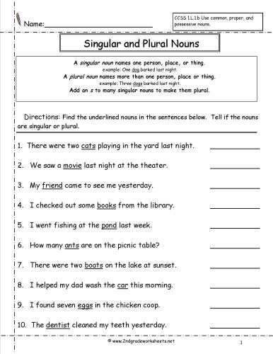 3rd Grade 2nd Grade Singular And Plural Nouns Worksheet