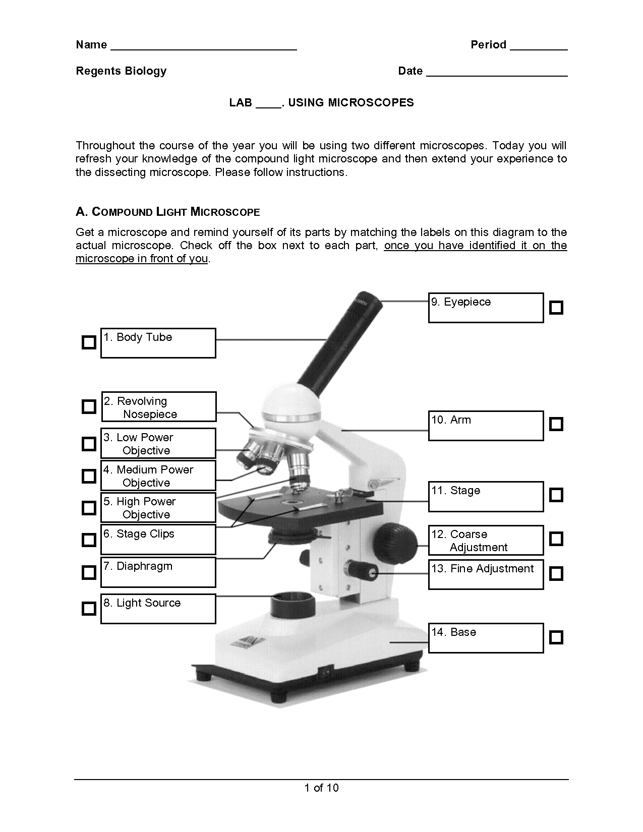 Microscope Worksheet