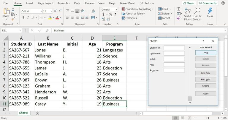 Data Entry Excel Practice Sheet