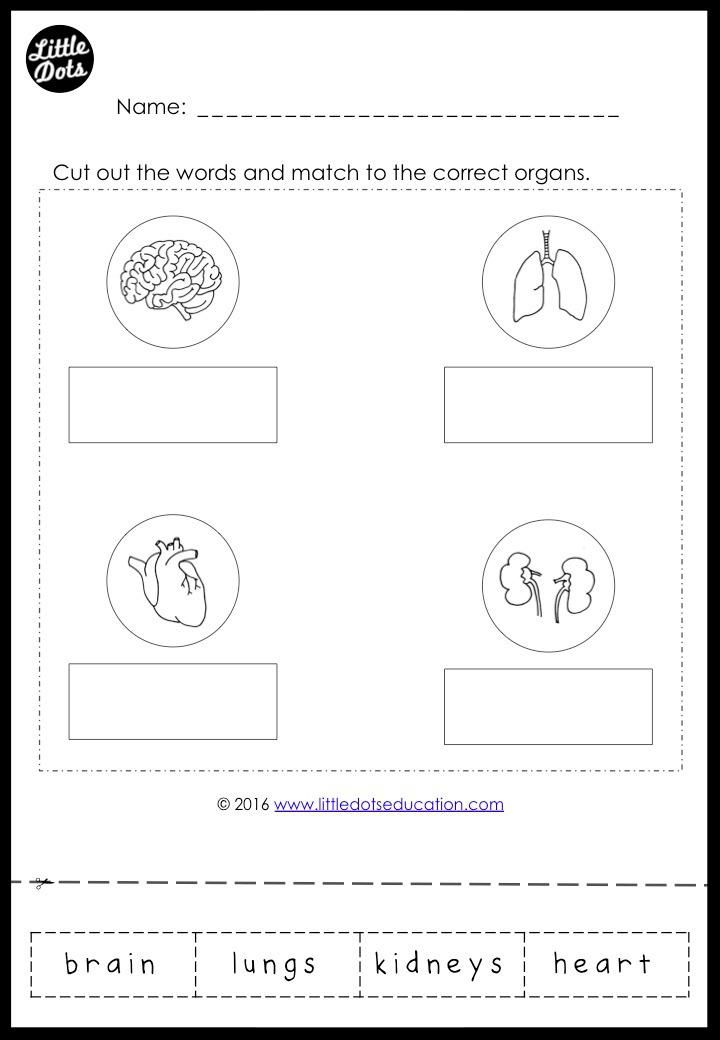 Heart Worksheet For Grade 2