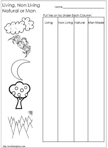 Living Things And Non Living Things Worksheet Pdf