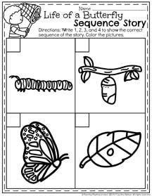 Butterfly Life Cycle Worksheet Preschool