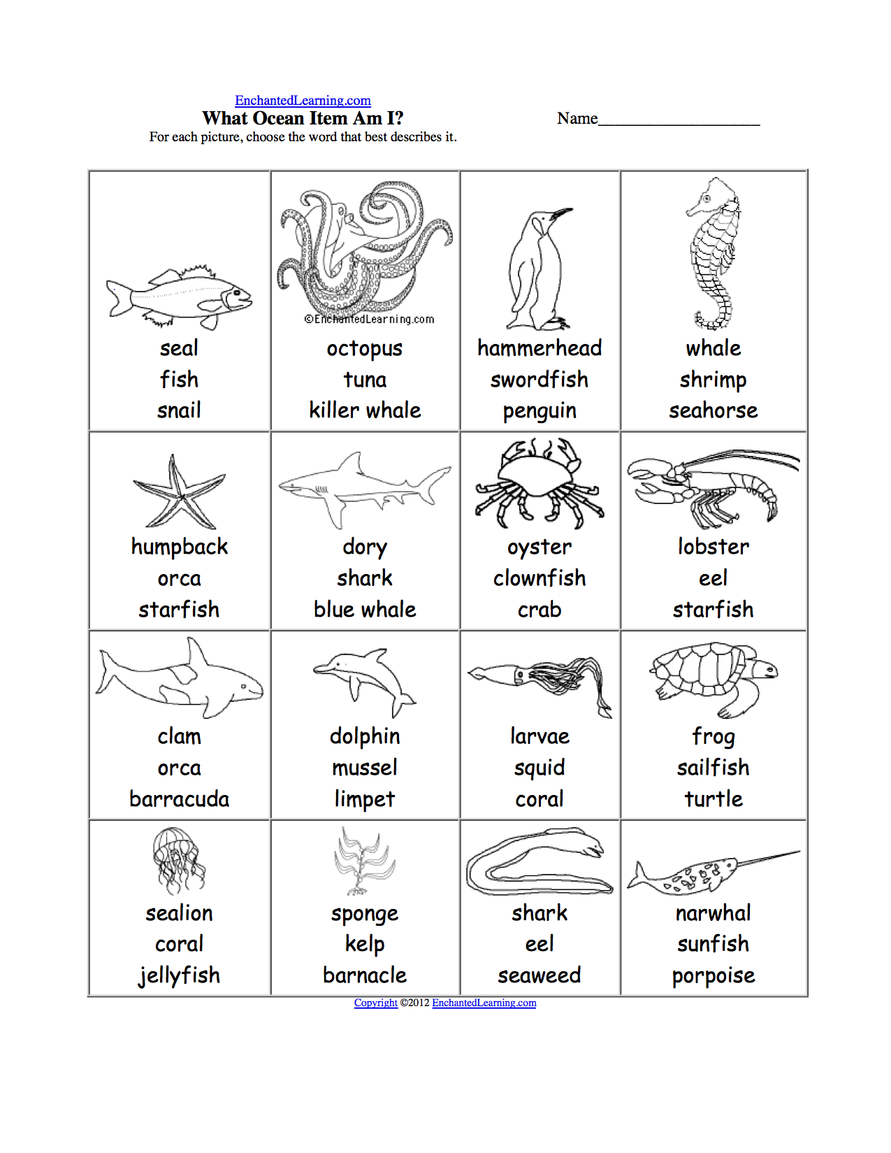 Animals Worksheets For Grade 2
