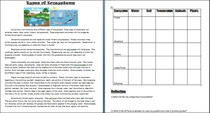 Ecosystem Worksheets 5th Grade