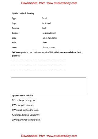 Worksheet For Class 3 Evs