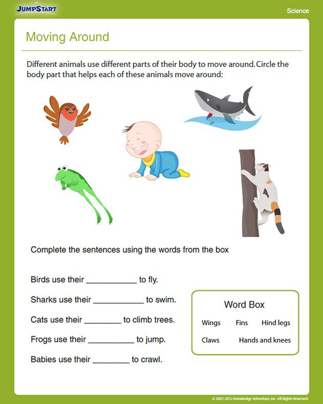 Free Science Worksheets For Grade 1