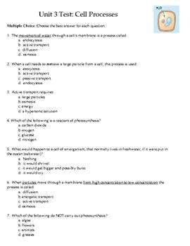 Osmosis Worksheet 20 Points
