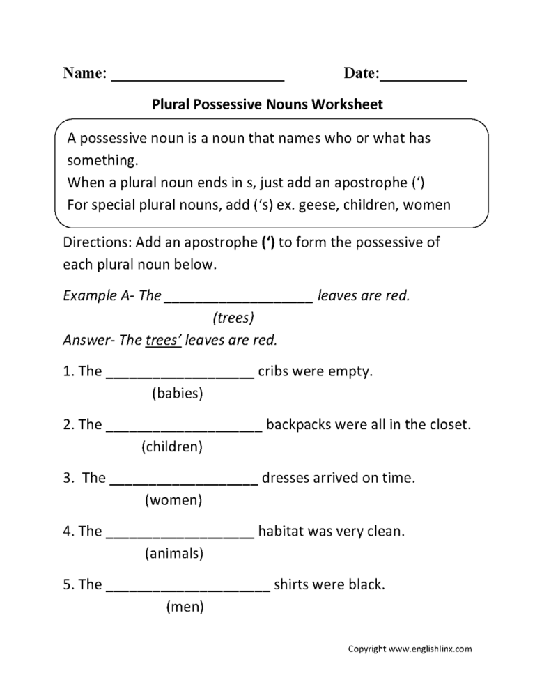 Plural Nouns Worksheet 3rd Grade