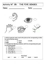 Senses Worksheet 2nd Grade