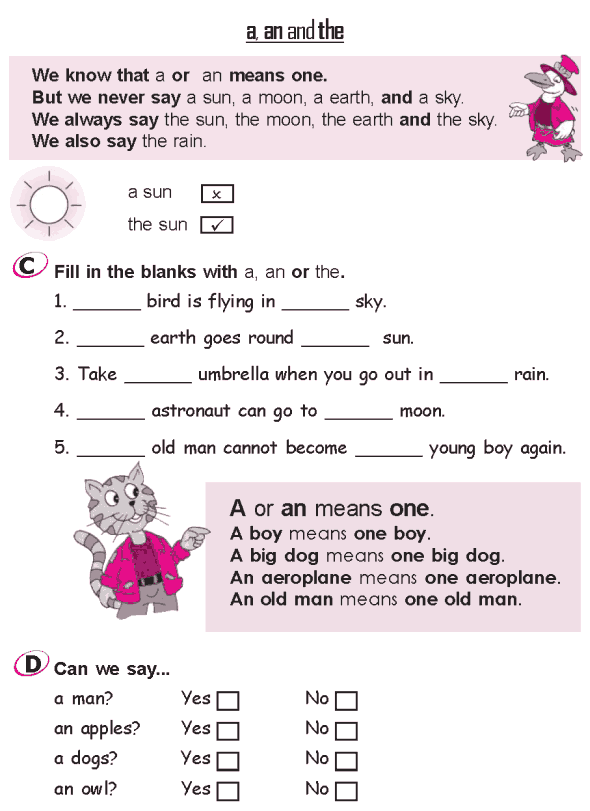 A An The Articles Worksheets For Grade 2