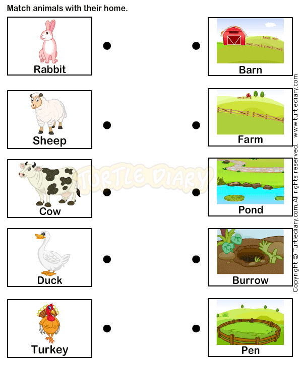 Animals Worksheets For Kindergarten