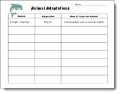 Animal Adaptations Worksheets 4th Grade