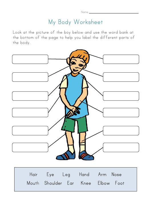 Body Worksheets For Grade 1