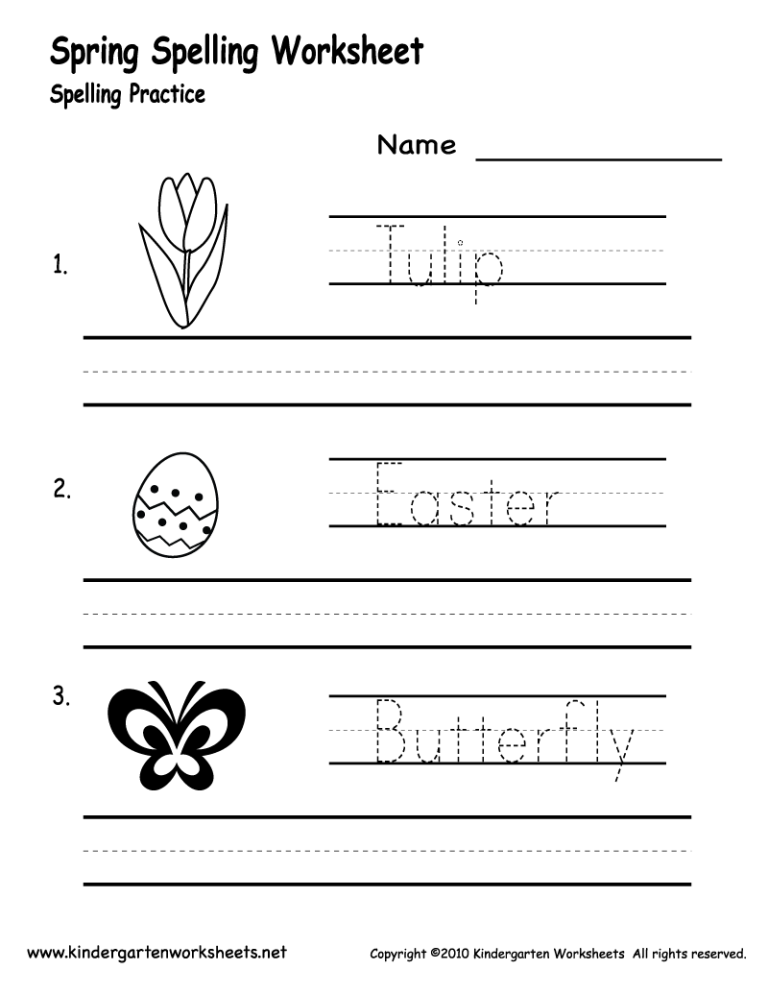 Special Education Worksheets