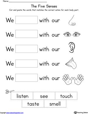 Senses Worksheet