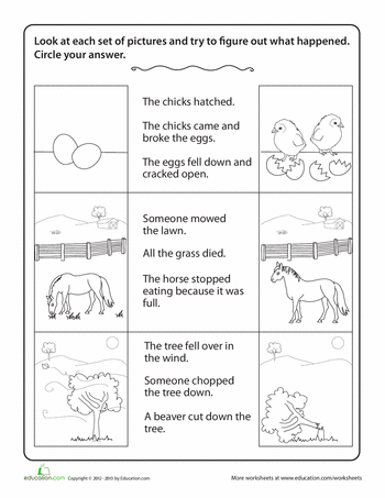 Drawing Conclusions Worksheets 1st Grade