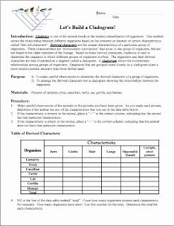 Cladogram Worksheet With Answers