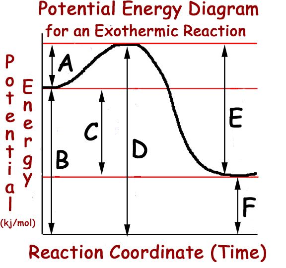 Potential Energy Diagram Worksheet Pdf
