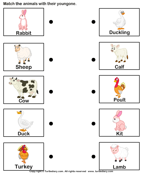 Farm Animals Worksheet For Kindergarten Pdf