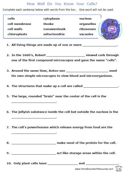 7th Grade Science Worksheets Pdf