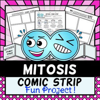 Mitosis And Meiosis Worksheet Draw The Chromosomes In The Cell As It Undergoes Mitosis Answers