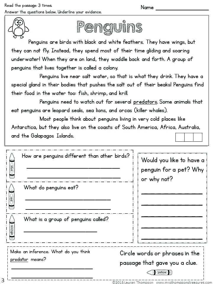 2nd Grade Reading Comprehension Worksheets Multiple Choice Pdf