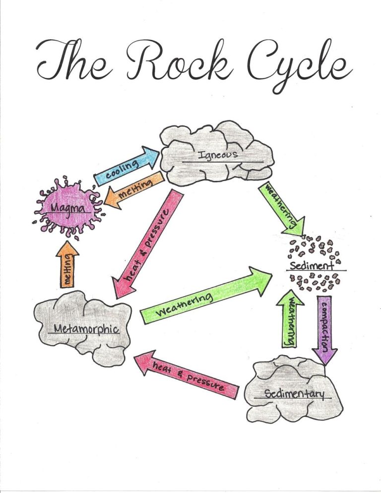 Rock Cycle Worksheet Answer