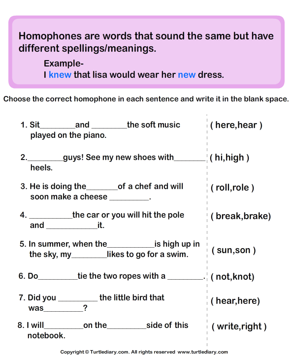 Homophones Sentences Worksheet