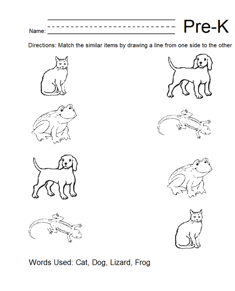 Matching Worksheets For Pre K