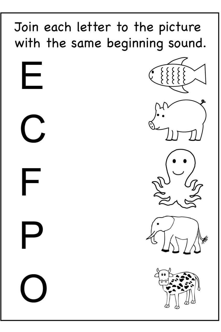 Educational Activities For 3 Year Olds Printable Pdf