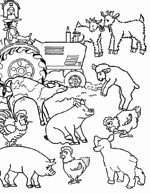 Farm Coloring Pages Farm coloring pages, Farm animal coloring pages