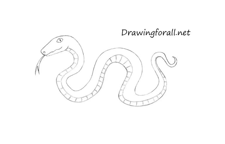 Snake How To Draw A Snake