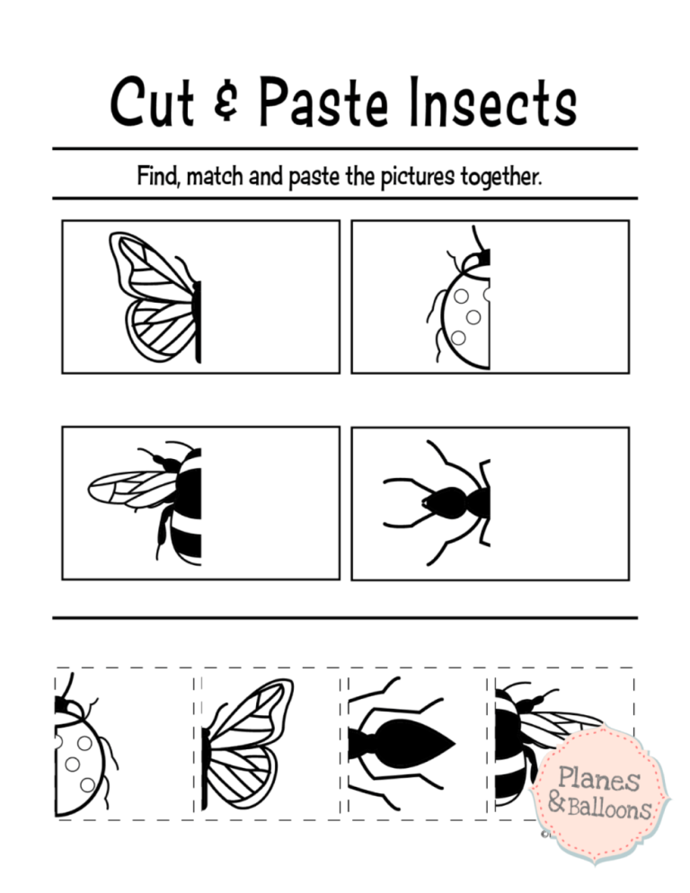 Color Cut And Paste Worksheets Pdf
